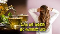 മുടി കൊഴിച്ചിലില്ല, താരനില്ല; ഈ ഹെര്‍ബല്‍ ചായയിലുണ്ട് പ്രതിവിധി