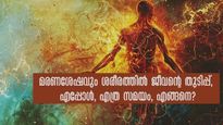 മരണശേഷം ശരീര ചലനം നിലക്കുന്നില്ല: ജീവനൊളിച്ചിരിക്കും രഹസ്യം ഇവിടെയാണ്‌