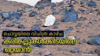ഇതുവരെ കാണാത്ത ചൊവ്വ, അപൂര്‍വ്വ ചിത്രം പകര്‍ത്തി നാസ പേടകം, ചിത്രത്തിന്റെ പ്രത്യേകത അറിയുമോ?