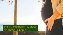 ഗര്‍ഭം കലക്കുന്ന പപ്പായ? ഗര്‍ഭിണികള്‍ പപ്പായ കഴിക്കുരുത് എന്ന് പറയുന്നതില്‍ കഴമ്പുണ്ടോ?