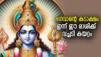 തലവര വരെ മാറ്റുന്ന ഭാഗ്യഫലം, ഇന്ന് ഉയരങ്ങളിലെത്താന്‍ യോഗമുള്ള 4 രാശി