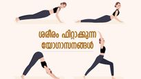ശരീരത്തില്‍ ഊര്‍ജ്ജത്തിന്റെ ഒഴുക്ക് എപ്പോഴും; ഈ 5 യോഗാസനങ്ങളിലുണ്ട് പോംവഴി