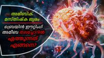 അമീബിക് മസ്തിഷ്‌ക ജ്വരം: ബ്രെയിന്‍ ഈറ്റിംഗ് അമീബ കുട്ടികളെ ബാധിക്കുന്നത് എന്തുകൊണ്ട്?