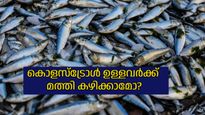 മീന്‍ കഴിച്ച് കൊളസ്‌ട്രോള്‍ കുറയ്ക്കാം; കൊളസ്‌ട്രോള്‍ കുറയ്ക്കാന്‍ സഹായിക്കുന്ന മീനുകള്‍ 