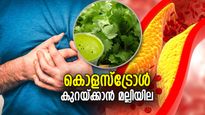 കൊളസ്ട്രോള്‍ പിടിച്ചുകെട്ടാം, മല്ലിയില ഒരു മിടുക്കന്‍ ഔഷധം