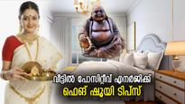 വീട്ടിലെ നെഗറ്റീവ് എനര്‍ജി തൂത്തെറിയാം; ഈ ഫെങ് ഷൂയി വിദ്യ ഏറെ ഫലപ്രദം