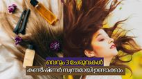 മുടി തിളങ്ങും, കെമിക്കല്‍ ഇല്ലാതെ, തീര്‍ത്തും പ്രകൃതിദത്തമായ 3 തരം കണ്ടീഷ്ണറുകള്‍