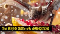 Nipah Virus: പഴങ്ങള്‍ പൂര്‍ണമായി ഒഴിവാക്കണോ? ഇപ്പോഴത്തെ സാഹചര്യത്തില്‍ അറിയാം