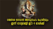 പ്രതിസന്ധികളില്‍ തളരാതെ പോരാടും, ഇന്ന് വിജയം ഈ 4 രാശിക്ക്‌