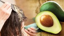 വരണ്ട മുടിക്ക് പരിഹാരം അവൊക്കാഡോ ഹെയര്‍ മാസ്‌ക്; ഉപയോഗിക്കേണ്ടത് ഇങ്ങനെ
