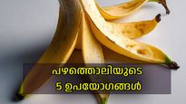 ചര്‍മ്മസംരക്ഷണം മുതല്‍ ചെടികള്‍ക്കുള്ള വളമായി വരെ; പഴത്തൊലിയുടെ 5  മികച്ച ഉപയോഗങ്ങള്‍