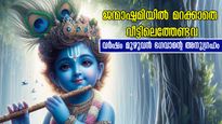 Janmashtami 2024: വിധിപ്രകാരം വീട്ടിലെത്തിക്കൂ ഇവയെല്ലാം: നിലവറ നിറക്കും സമ്പത്ത് കുമിയും