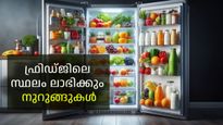 ഫ്രിഡ്ജില്‍ സ്ഥലം തികയുന്നില്ലേ, ഈ വിദ്യ പരീക്ഷിക്കൂ, എന്തെല്ലാം വെച്ചാലും സ്ഥലം ബാക്കിയാകും