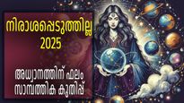 ഒരായുസ്സിന്റെ പ്രയത്‌നം തിരിച്ചറിയപ്പെടുന്ന വര്‍ഷം, 2025-ല്‍ സാമ്പത്തികക്കുതിപ്പ് നടത്തുന്നവര്‍