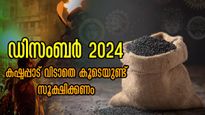 ഡിസംബര്‍ 31 വരെ ഓരോ ചുവടും ശ്രദ്ധിക്കണം; വെല്ലുവിളികളില്‍ തളരും കാലക്കേട് തലയ്ക്ക് മുകളില്‍