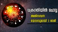 ഡിസംബര്‍ മുതല്‍ ഫെബ്രുവരി വരെ ചൊവ്വയാണ് രാജാവ്: രാജയോഗം കൊടികുത്തി വാഴും 3 രാശി