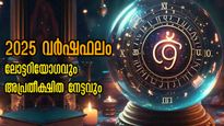 സമ്പാദ്യം ഇരട്ടി, കരിയറിലും കുതിപ്പ്, ജ്യോതിഷത്തിന് തെറ്റില്ല, വിജയത്തേരിലേറും 2025-ല്‍ ഇവര്‍