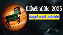  വര്‍ഷഫലം 2025 - കരിയര്‍, ധനം, ദാമ്പത്യം, ബിസിനസ് 3 നക്ഷത്രക്കാരുടെ ഗതിമാറ്റും വര്‍ഷം