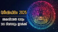 പല വഴിയില്‍ നേട്ടങ്ങള്‍, കൈനിറയെ പണം, ഉദ്യോഗവും അനുകൂലം: 2025 ഭാഗ്യത്തിന്റെ കളിയാണ് ഈ രാശിക്ക്‌