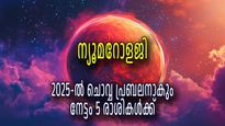 ന്യൂമറോളജി: 2025-ല്‍ ചൊവ്വയുടെ ആധിപത്യം, അഞ്ചുരാശികള്‍ക്ക് രാജയോഗതുല്യം