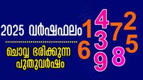 ഇല്ലായ്മയകലും, ധനനേട്ടം കുമിഞ്ഞ് കൂടും, കരിയര്‍ അത്ഭുതപ്പെടുത്തും: 2025-ലെ ജ്യോതിഷം അച്ചട്ടാണ്