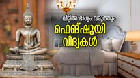 കഷ്ടപ്പാടെല്ലാം കുപ്പയിലെറിയാം, 2025 പുതുവര്‍ഷത്തില്‍ ഭാഗ്യം വരുത്തും ഫെങ് ഷുയി വിദ്യകള്‍ 