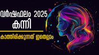  2024 -കടന്ന് 2025-ലേക്കുള്ള മാറ്റം, സമ്പത്തും, കരിയറും, ദാമ്പത്യവും, കുടുംബവും ഭദ്രം ഇവര്‍ക്ക്