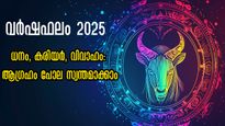 അവസരങ്ങള്‍ കാല്‍ച്ചുവട്ടില്‍, വിദേശയോഗം, സമ്പത്ത് കുന്നുകൂടും: 2025-വെറുതേ പോവില്ല