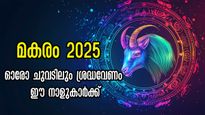 മകരത്തില്‍ കരുതിയിരിക്കണം, പ്രശ്‌നങ്ങളുടെ സമയം ഈ നാളുകാര്‍ക്ക്, ശത്രു ശക്തനാവും