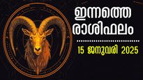 Rahiphalam: മേടം, മിഥുനം രാശിക്കാര്‍ വളരെയധികം ശ്രദ്ധിക്കണം: സുഖലോലുപതയില്‍ പക്ഷേ ഈ രാശിക്കാര്‍