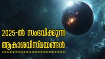  സൗരക്കാറ്റ്, ഉല്‍ക്കവര്‍ഷം, സൂര്യ-ചന്ദ്ര ഗ്രഹണങ്ങള്‍: 2025-നെ കാത്തിരിക്കുന്ന പ്രപഞ്ച മാറ്റങ്ങള്‍