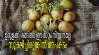 മുളച്ച ഉരുളക്കിഴങ്ങ് കറിക്കെടുക്കാറുണ്ടോ? എങ്കില്‍ ഇക്കാര്യമൊന്ന് അറിഞ്ഞുവെച്ചോളൂ