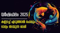  വര്‍ഷഫലം 2025: മീനത്തില്‍ ശനി കുടിയിരിക്കും, സമ്പത്ത് ഒഴുകും, ആരോഗ്യം, തൊഴില്‍ കുടുംബം നേട്ടങ്ങള്‍ നിരവധി