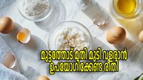 വലിച്ചെറിയേണ്ട, മുട്ടത്തോടിലുണ്ട് മുടി വളര്‍ച്ചയുടെ രഹസ്യം, ഉപയോഗിക്കേണ്ടത് ഇങ്ങനെ