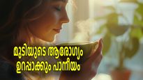 മുടി കൊഴിച്ചില്‍ നില്‍ക്കും, മുടി വളരും, അകാലനരയും പടിക്ക് പുറത്ത്; കേശാരോഗ്യത്തിന് ഓള്‍റൗണ്ടര്‍ ഈ പാനീയം