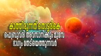 ഫെബ്രുവരി അവസാനിക്കുന്നതിന് മുമ്പ് ഭാഗ്യം തേടിയെത്തുന്ന രാശികള്‍; ആഗ്രഹിച്ചതെല്ലാം കയ്യിലെത്തും