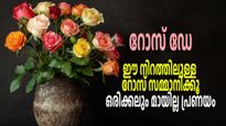 Rose Day: സ്‌നേഹിക്കുന്നവര്‍ക്ക് ഈ നിറത്തിലുള്ള റോസ് സമ്മാനിക്കൂ, ആ പ്രണയം എക്കാലവും നിലനില്‍ക്കും