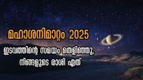 Shani Gochar 2025: മീനത്തില്‍ മഹാശനിമാറ്റം ഇടവം രാശിക്കാര്‍ക്ക് മേല്‍ഗതി ഉറപ്പ് മേടം കഷ്ടപ്പെടും, നിങ്ങളോ?