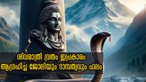 Maha Shivratri 2025: ശിവരാത്രി വ്രതം ഇപ്രകാരമെങ്കില്‍ ആഗ്രഹിക്കും പങ്കാളിയും ജോലിയും സ്വന്തം