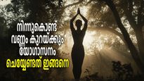 Tadasana: വണ്ണം കുറയ്ക്കും യോഗാസനം; ചെയ്യാനെളുപ്പം, ആഴ്ചകള്‍ക്കുള്ളില്‍ റിസള്‍ട്ട് 