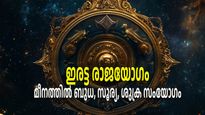 മീനംരാശിയില്‍ ഡബിള്‍ രാജയോഗം; വരാന്‍ പോകുന്നത് അപ്രതീക്ഷിത ധനനേട്ടത്തിന്റെ ദിനങ്ങള്‍