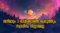 30 വര്‍ഷങ്ങള്‍ക്കപ്പുറം മീനത്തില്‍ ശനി: ബിസിനസും വരുമാനവും ഇരട്ടി, വെള്ളിക്കരണ്ടിയുമായി ശനി ഇവര്‍ക്കൊപ്പം
