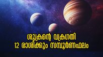  Shukra Vakri 2025: മീനത്തില്‍ വക്രഗതിയില്‍ ശുക്രന്‍: 12 രാശിക്കും സമ്പൂര്‍ണ ഗുണദോഷഫലം