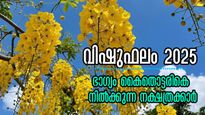 വിഷുപ്പുലരിയോടെ ഭാഗ്യം തേടി വരും നക്ഷത്രക്കാര്‍: ധനം, കരിയര്‍,ജോലി ഒന്നിന് പുറകേ ഒന്നായി നേട്ടങ്ങള്‍ 