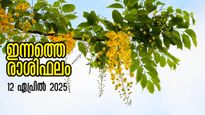 Rashiphalam: ഭാഗ്യത്തേരേറി ഇടവമുള്‍പ്പടെ 4 രാശിക്കാര്‍: വിഷുവിന് മുന്നോടി ഈ മാറ്റങ്ങള്‍