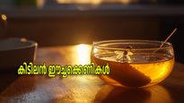 വീട്ടിലെ ഈച്ചശല്യം ഇല്ലാതാക്കാന്‍ ഒരു കിടിലന്‍ ഈച്ചക്കെണി