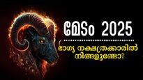  മേടത്തില്‍ അതിസമ്പന്നതയിലേക്ക് ചുവട് വെക്കും നാളുകാര്‍: വരുന്ന 31 ദിനവും കരിയര്‍, ധനം, ജോലി ഭദ്രം