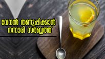  വേനല്‍ക്കാലം ആയുസ്സിനും ആരോഗ്യത്തിനും നന്നാരി സര്‍ബ്ബത്ത് ധാരാളം: ആരോഗ്യരഹസ്യങ്ങള്‍ ഇതാ