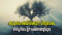  Pitru Dosha: കുടുംബത്തില്‍ പിതൃദോഷമുണ്ടോ? എളുപ്പത്തില്‍ മനസ്സിലാക്കാം ഈ ലക്ഷണങ്ങളിലൂടെ