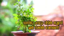 വീടിന്റെ വടക്ക് കിഴക്ക് മൂലയില്‍ ഒരു തുളസിയുണ്ടോ, ധനം കുമിയും ഐശ്വര്യം പടി കയറും